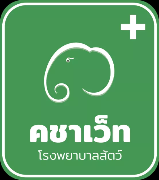 หางาน,สมัครงาน,งาน คชาเว็ท URGENTLY NEEDED JOBS