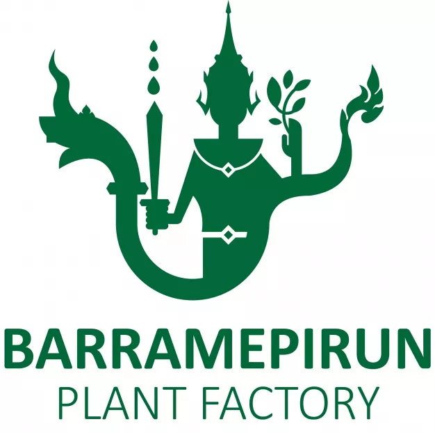 Barramepirun