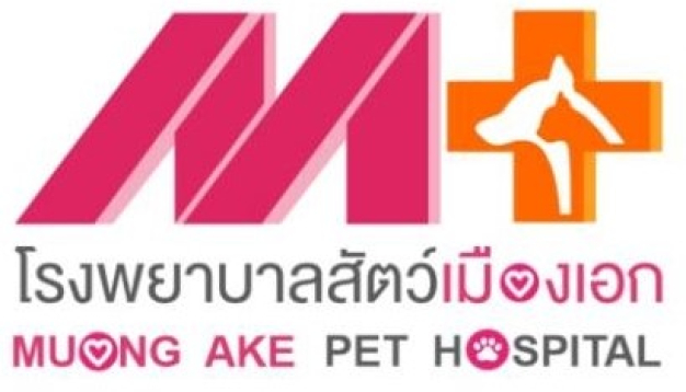 หางาน,สมัครงาน,งาน โรงพยาบาลสัตว์ ศ.เมืองเอก